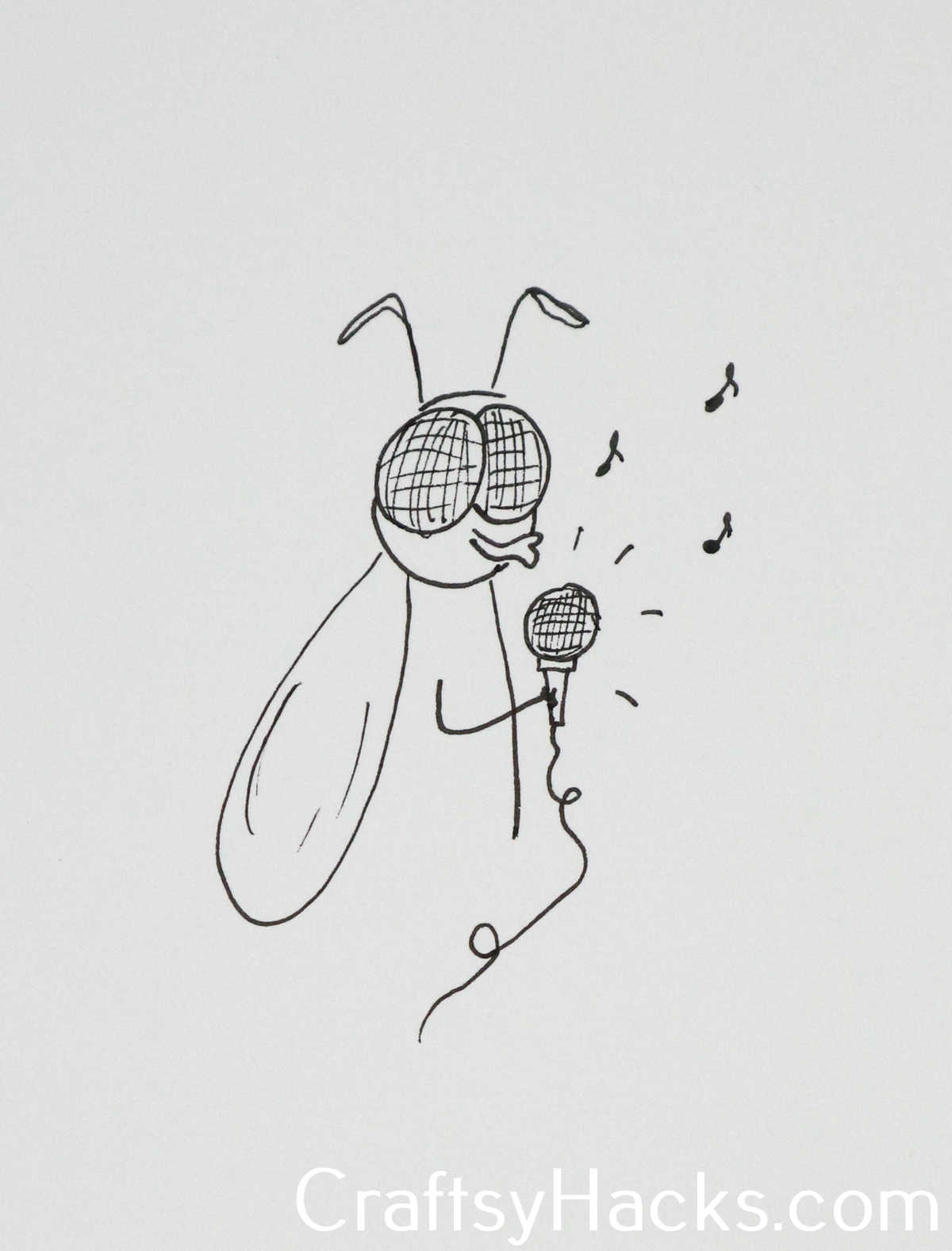 fly karaoke doodle