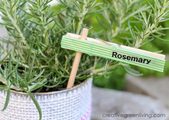 clothespin plant markers