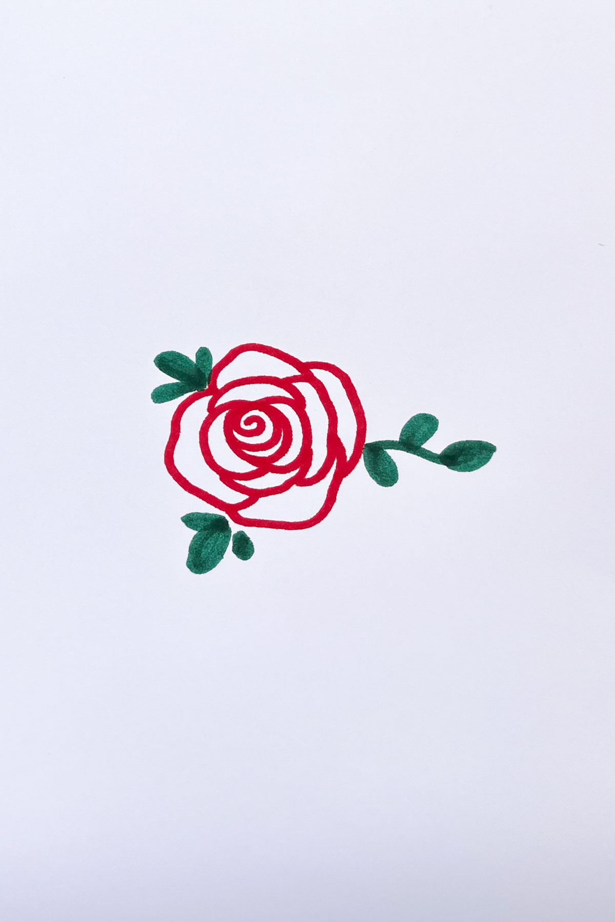 red rose flower drawing