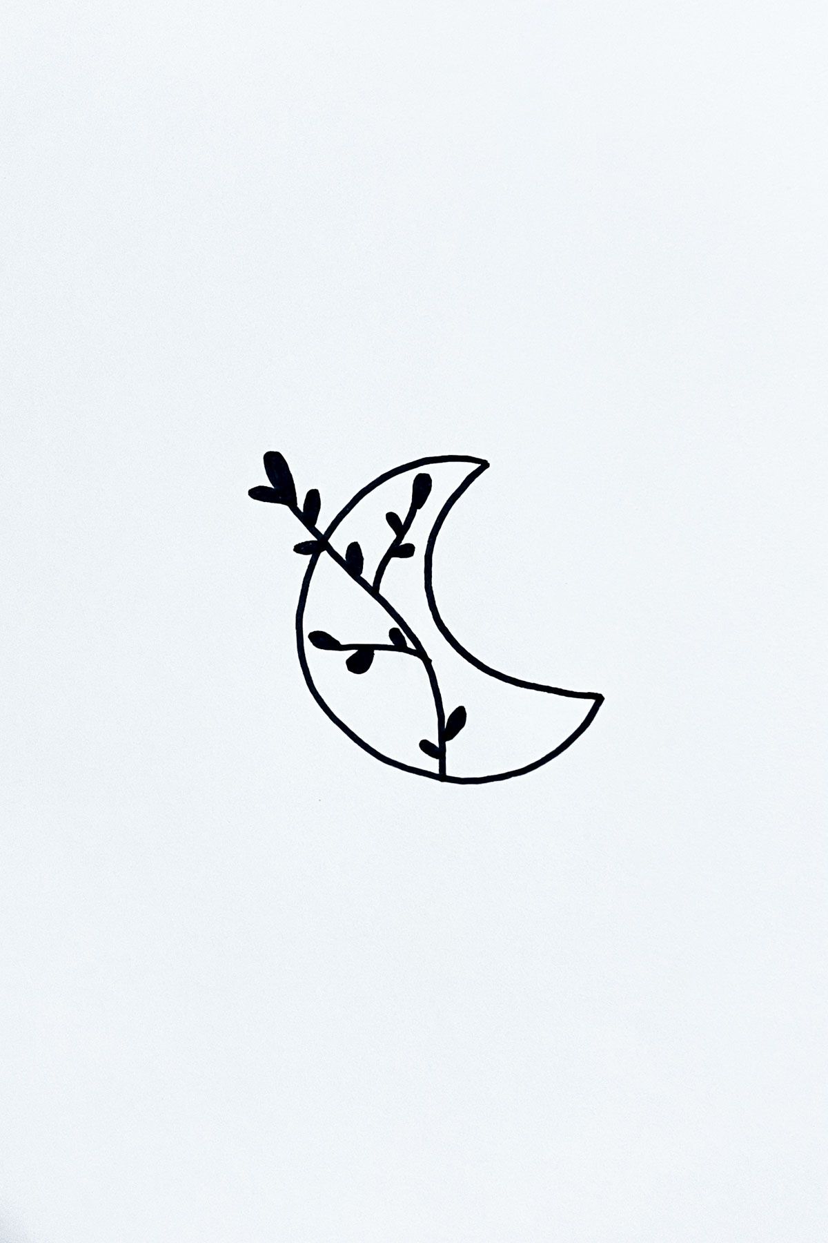 vines moon drawing