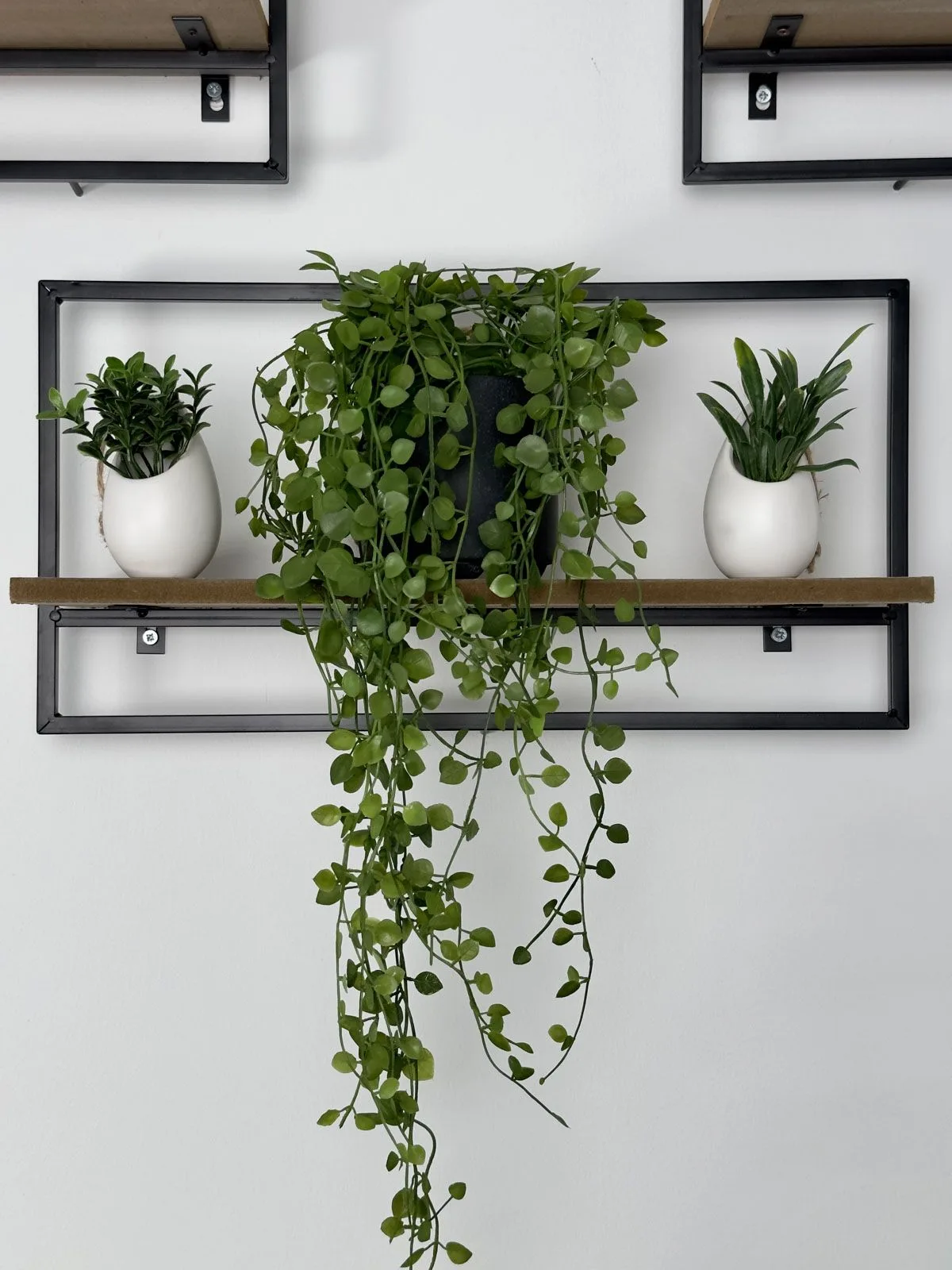 Place Your Plants On Shelves