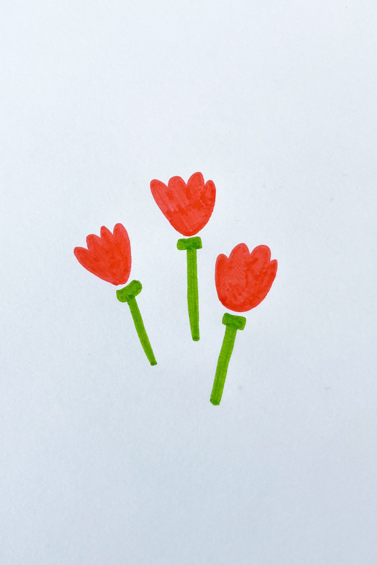 tulips drawing 