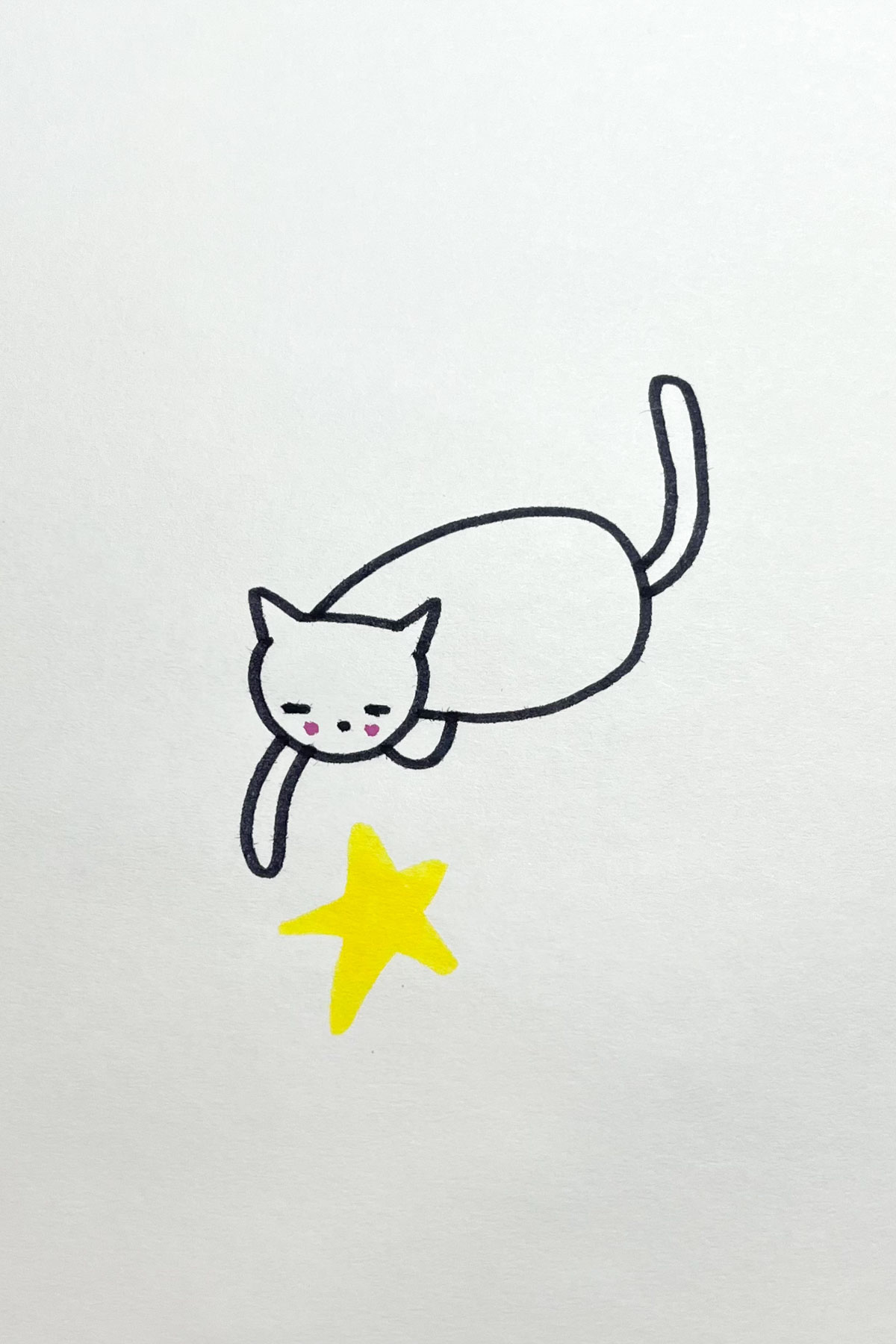 kitten star drawing