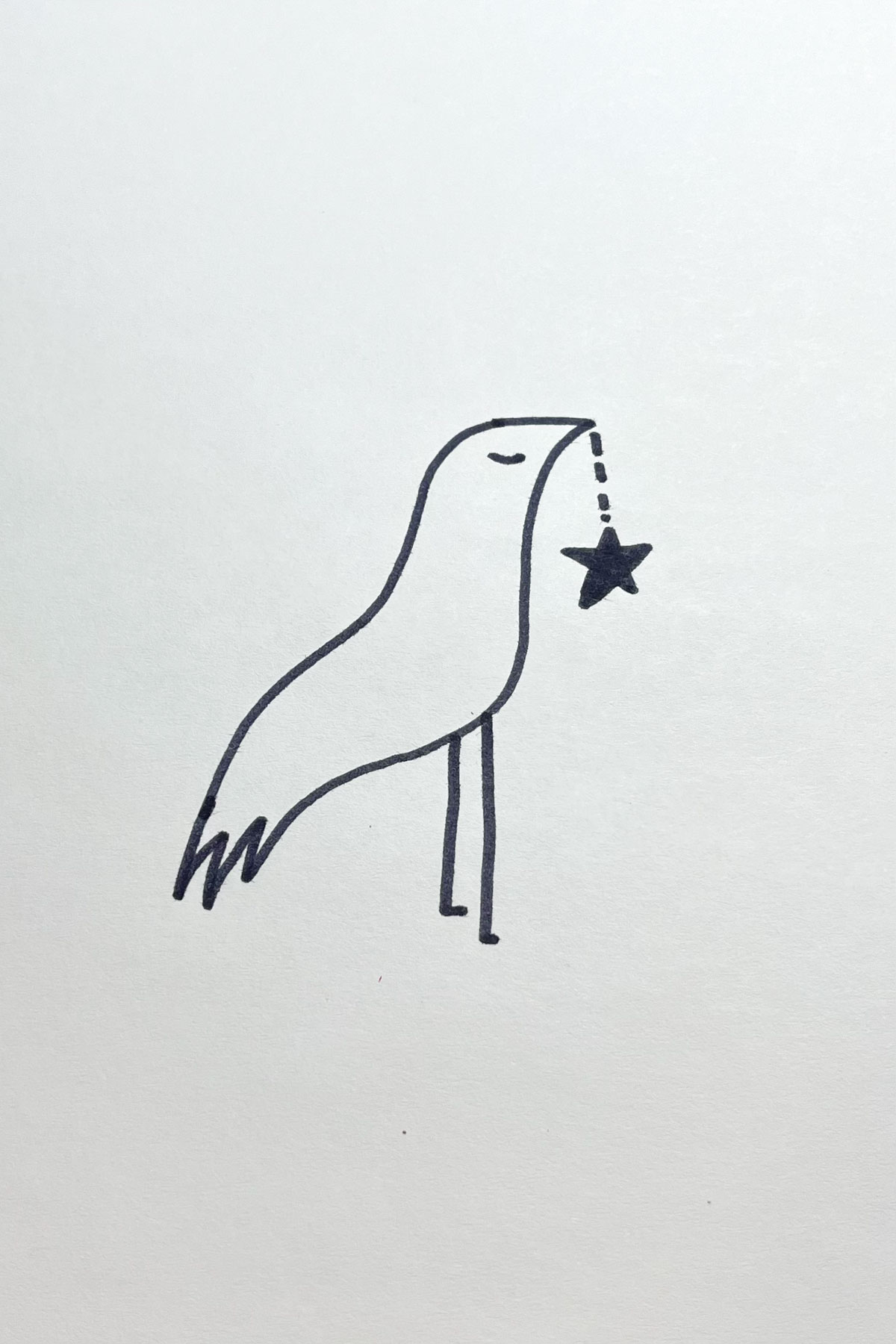 bird with star drawing