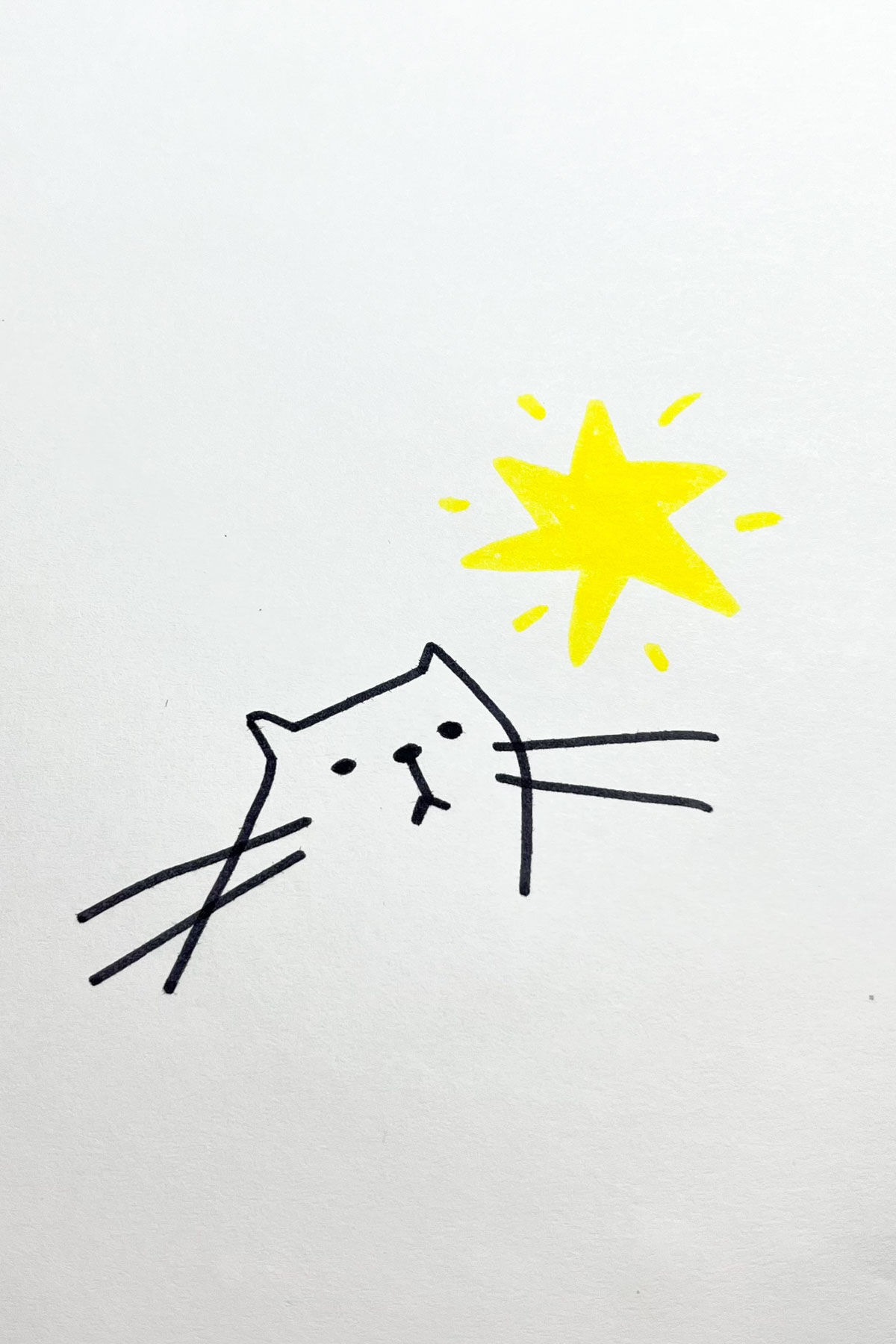 stargazing cat drawing