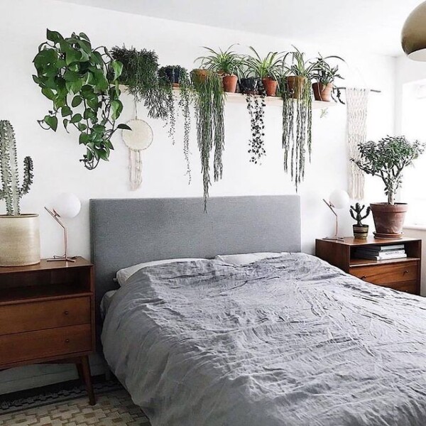 21 Beautiful Plants in Bedroom Ideas - Craftsy Hacks