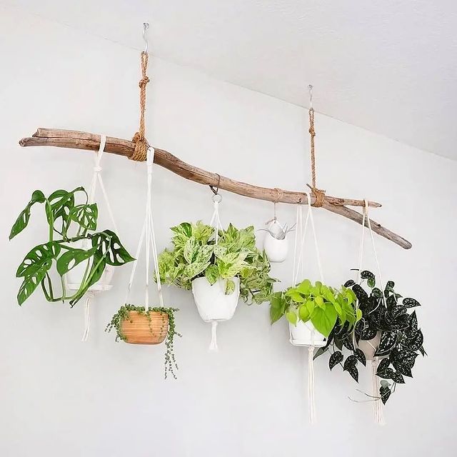 Decorative Hanging Plant Display