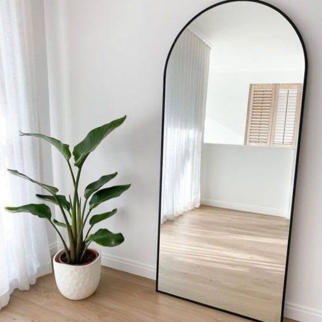 plant and mirror combinations