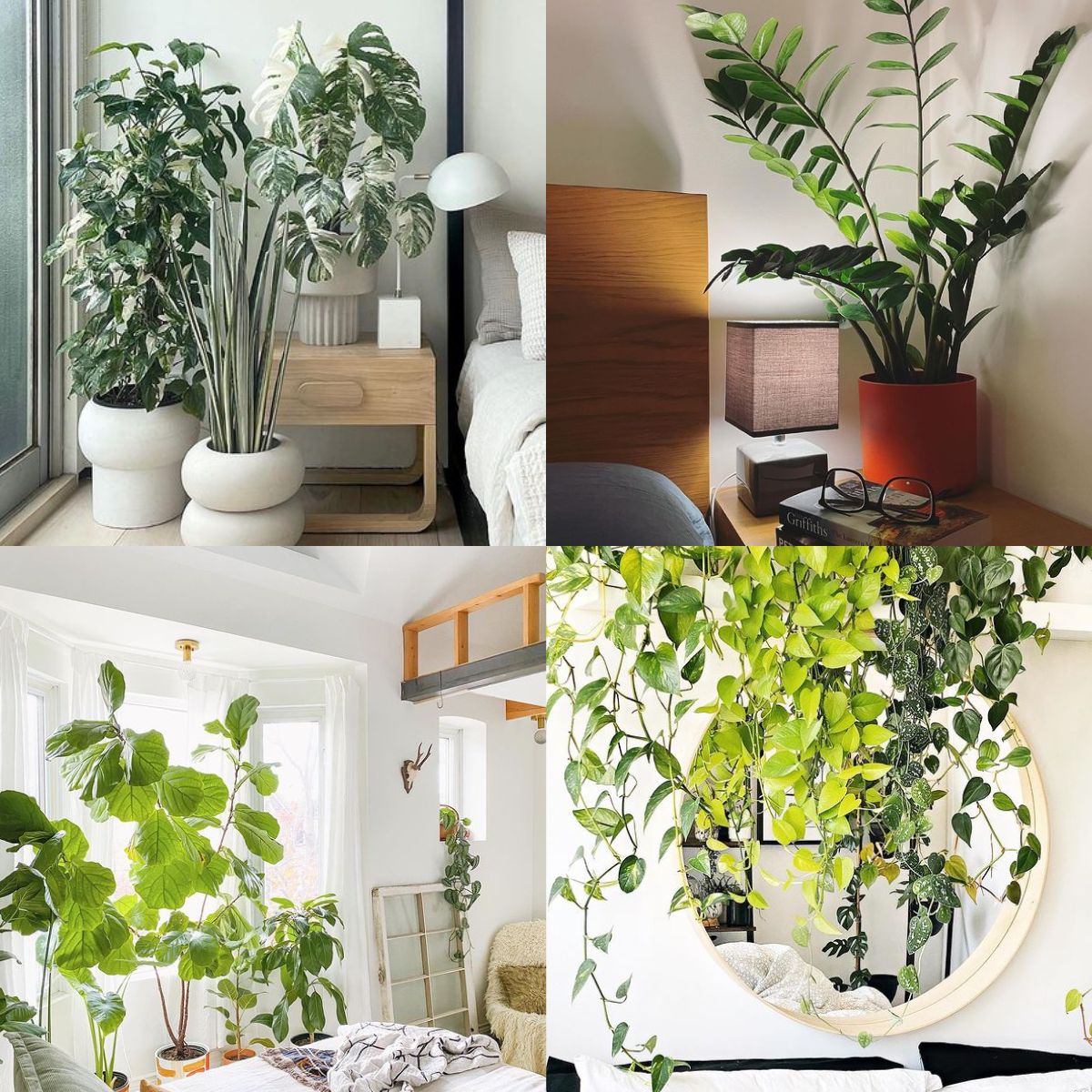 21 Beautiful Plants in Bedroom Ideas - Craftsy Hacks