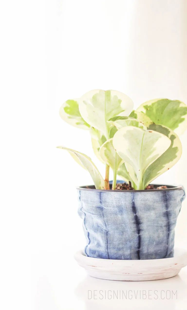  Shibori Planter