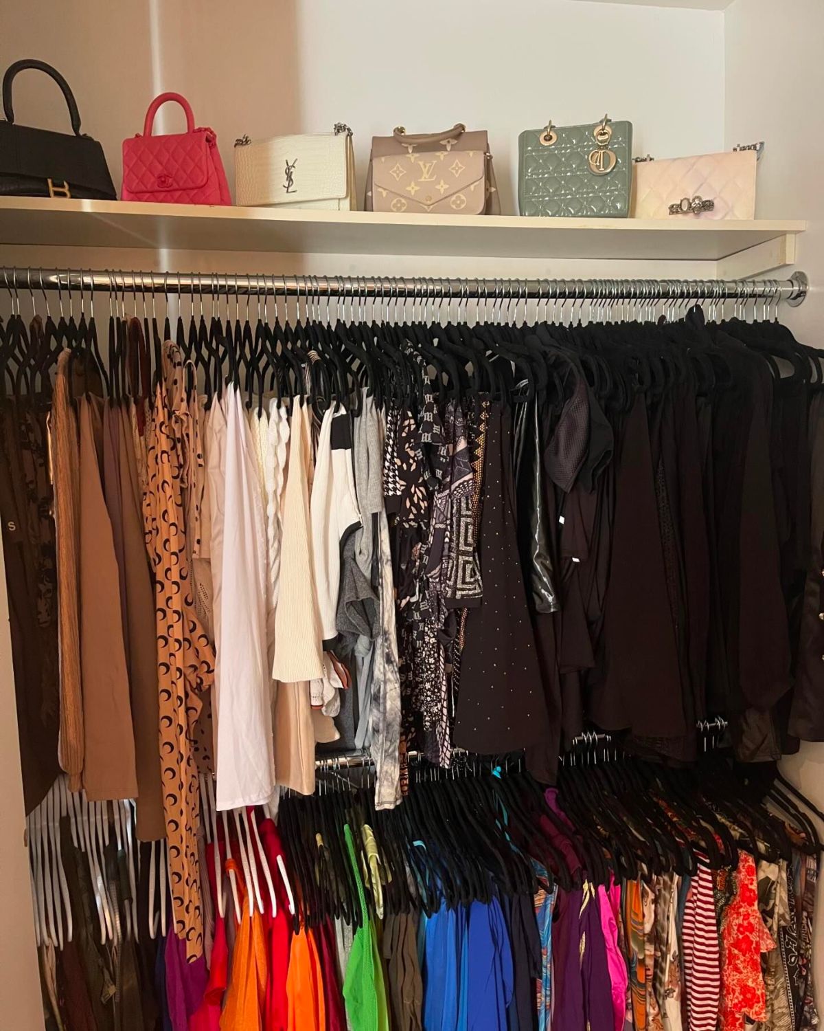 bag and purse shelf