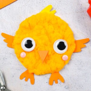 DIY chick craft