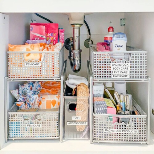 27 Brilliant Ways to Organize Under the Bathroom Sink - Craftsy Hacks