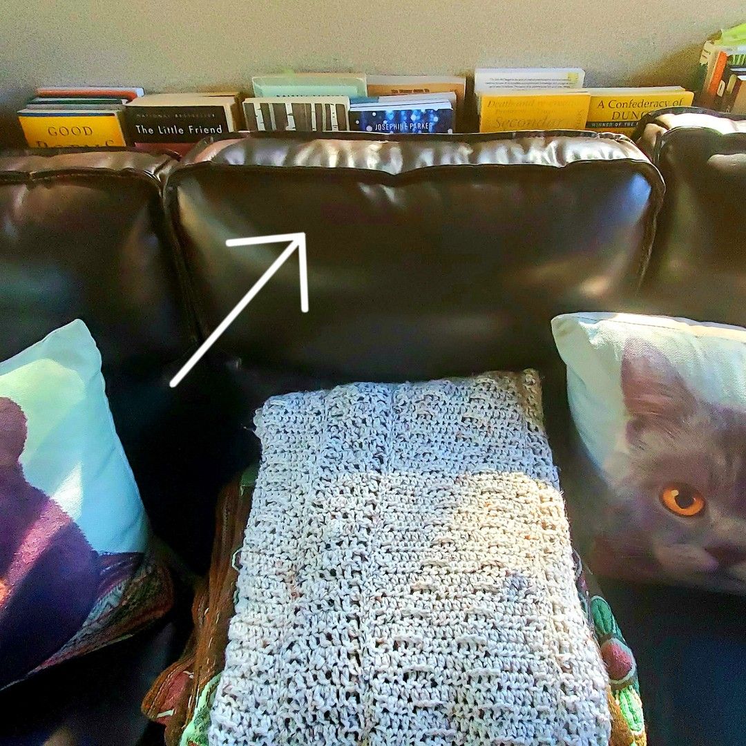 Plastic Drawer Organizers for Books