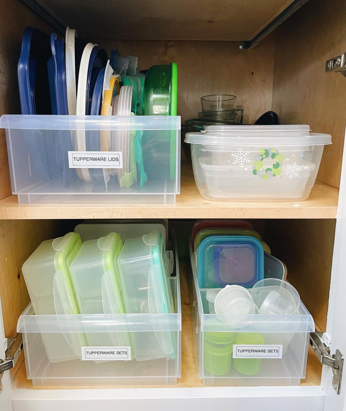 deep plastic bins to Separate Lids and Bowls