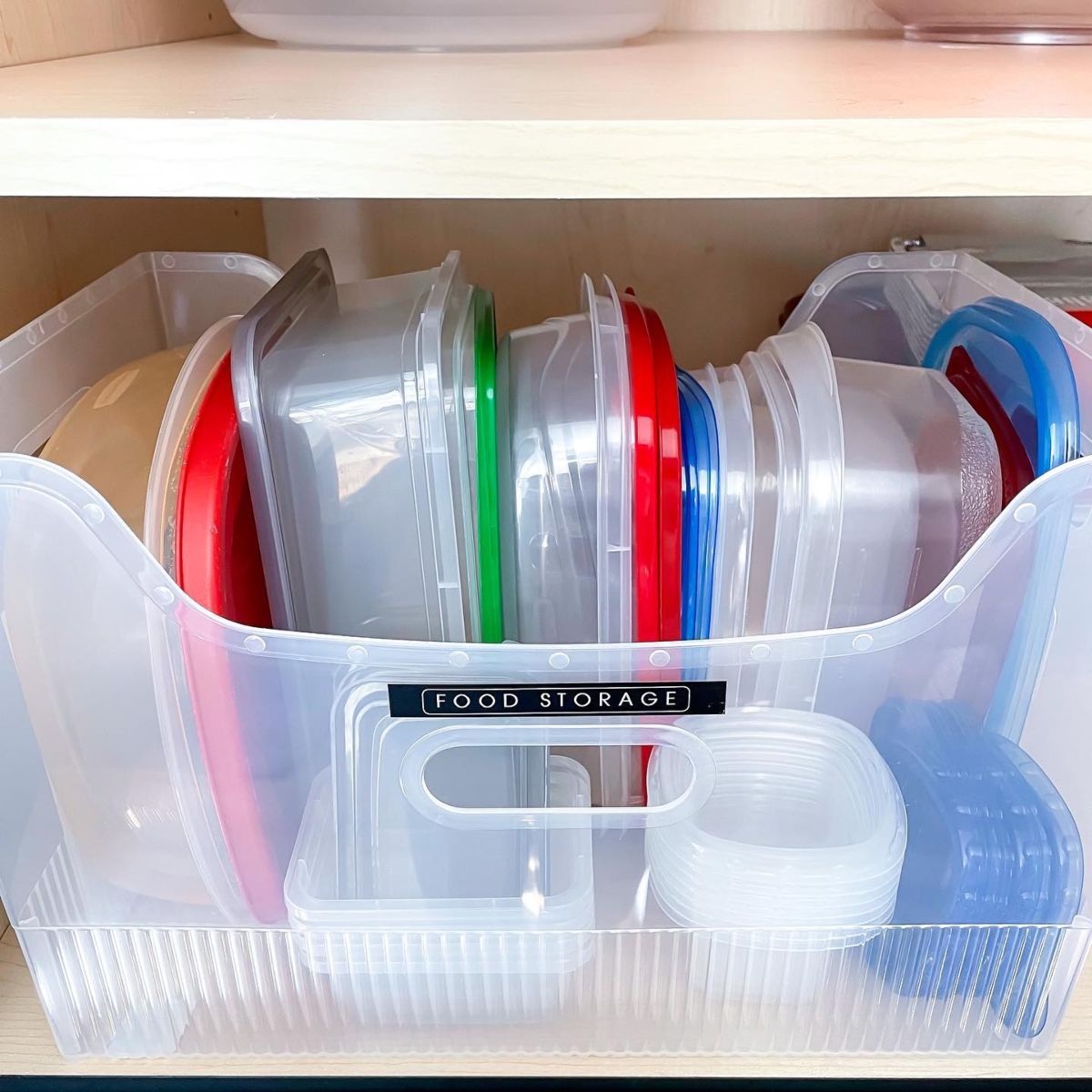 Large Plastic Bins