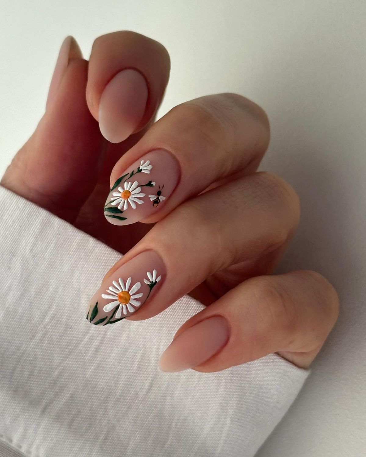 Embo Powder Textured Daisies