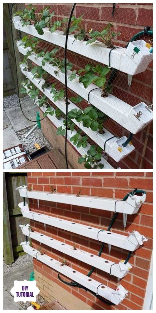 12. Strawberry Planter