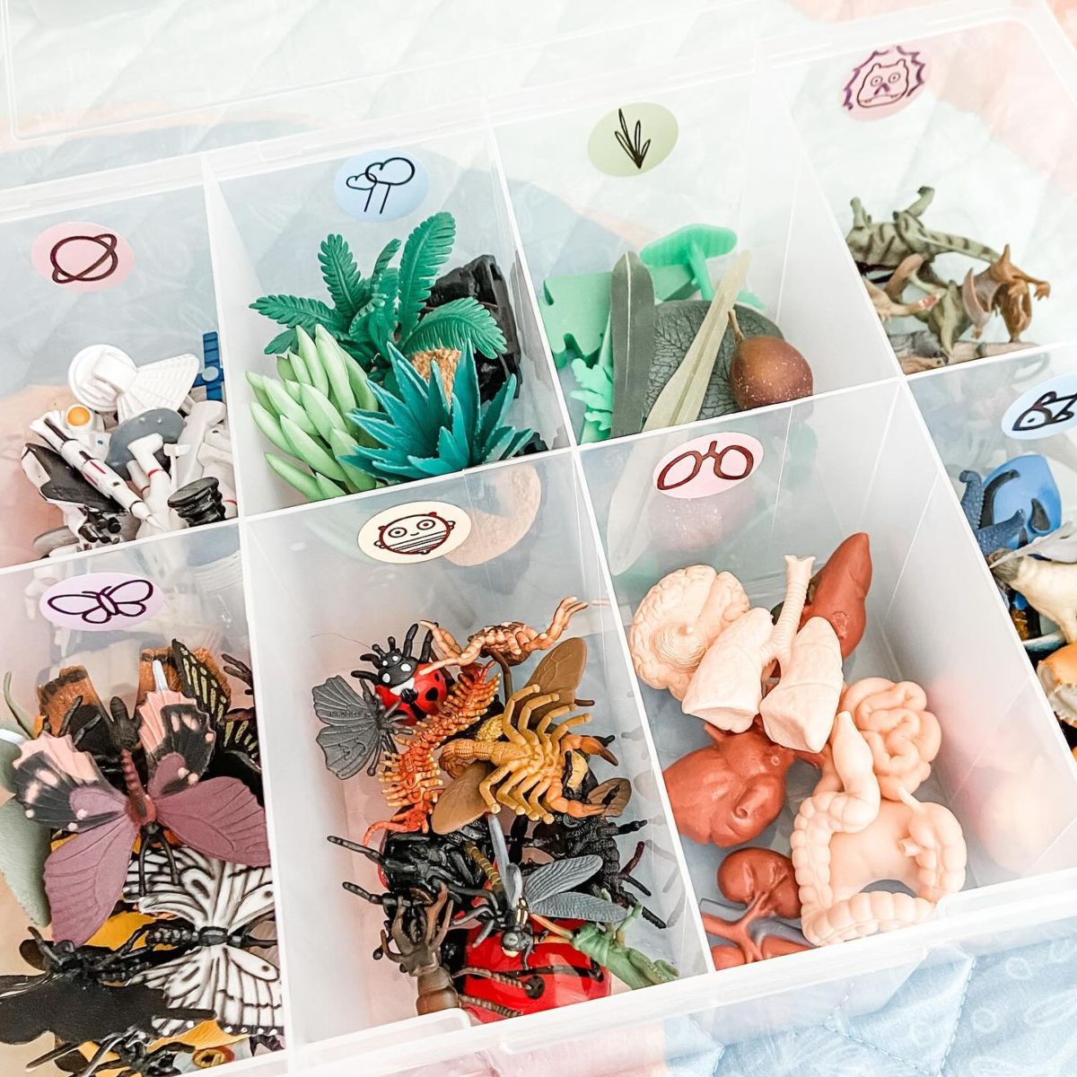 19. Compartmented Storage