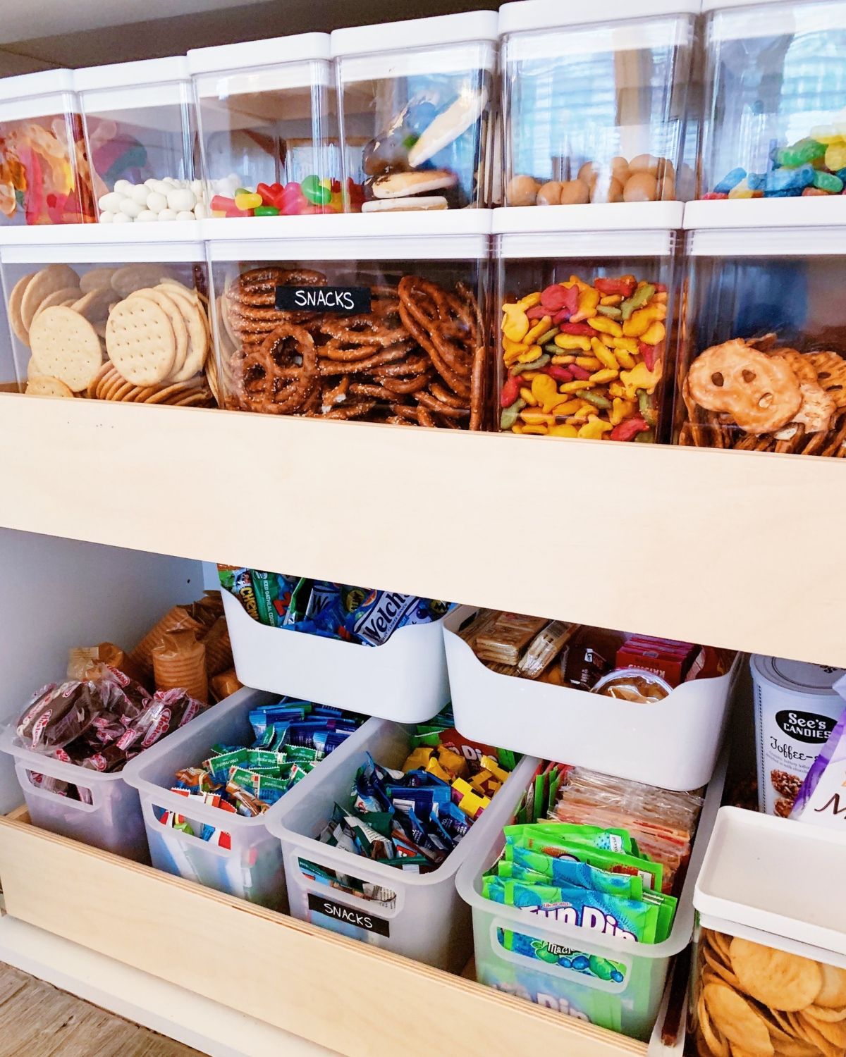 Snack Storage Tubs