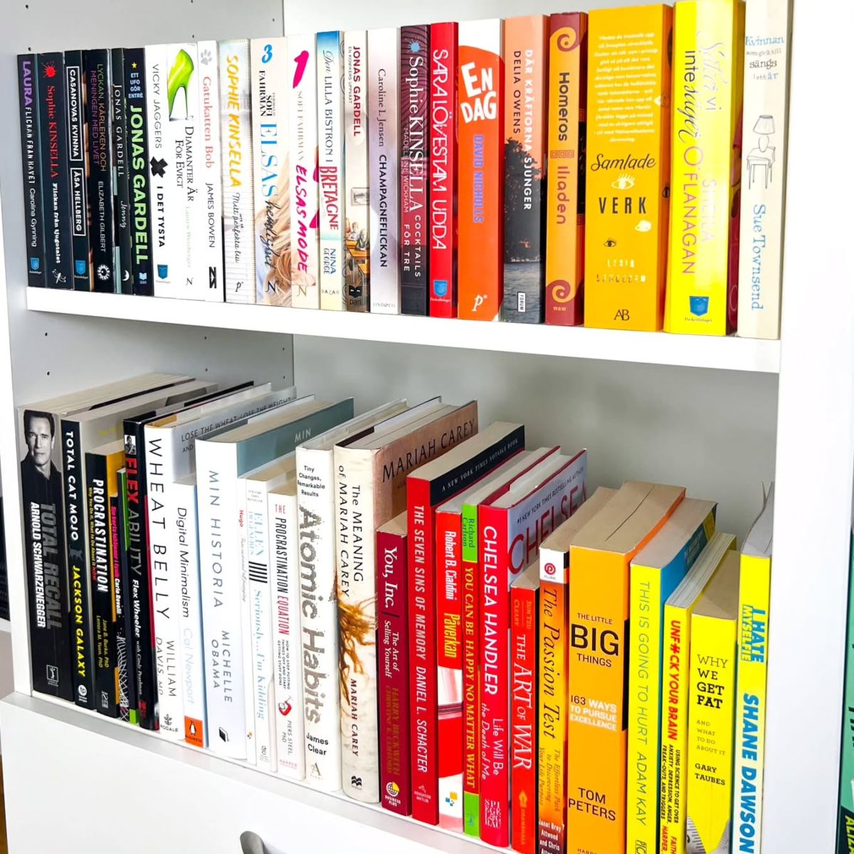 Organize Books by Color