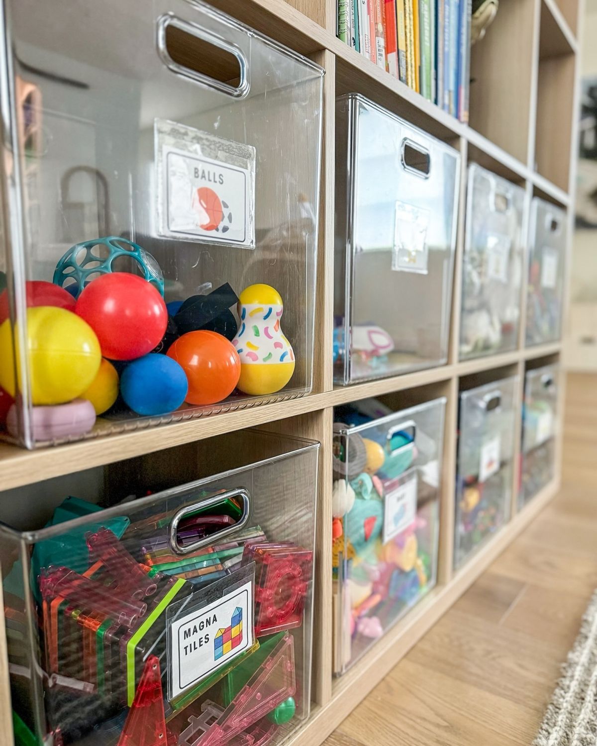 Picture Labeled Bins for Toy Storage