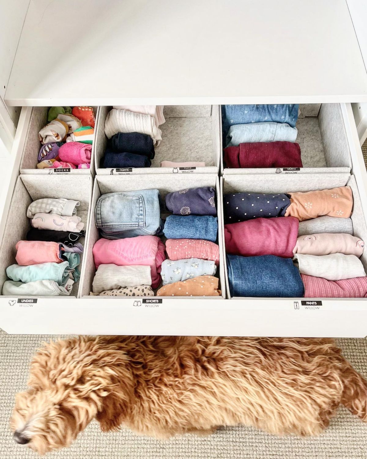 Drawer Organizers
