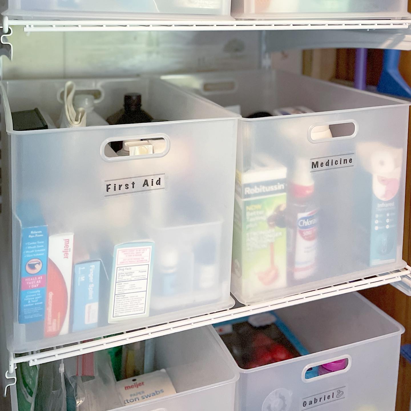 Categorized Bins