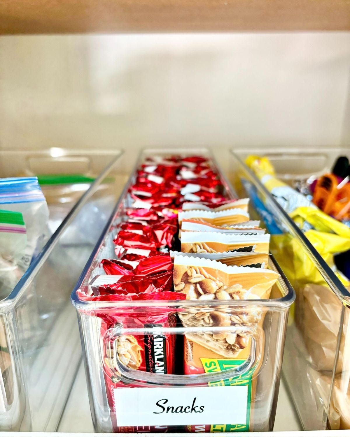 Snack Container