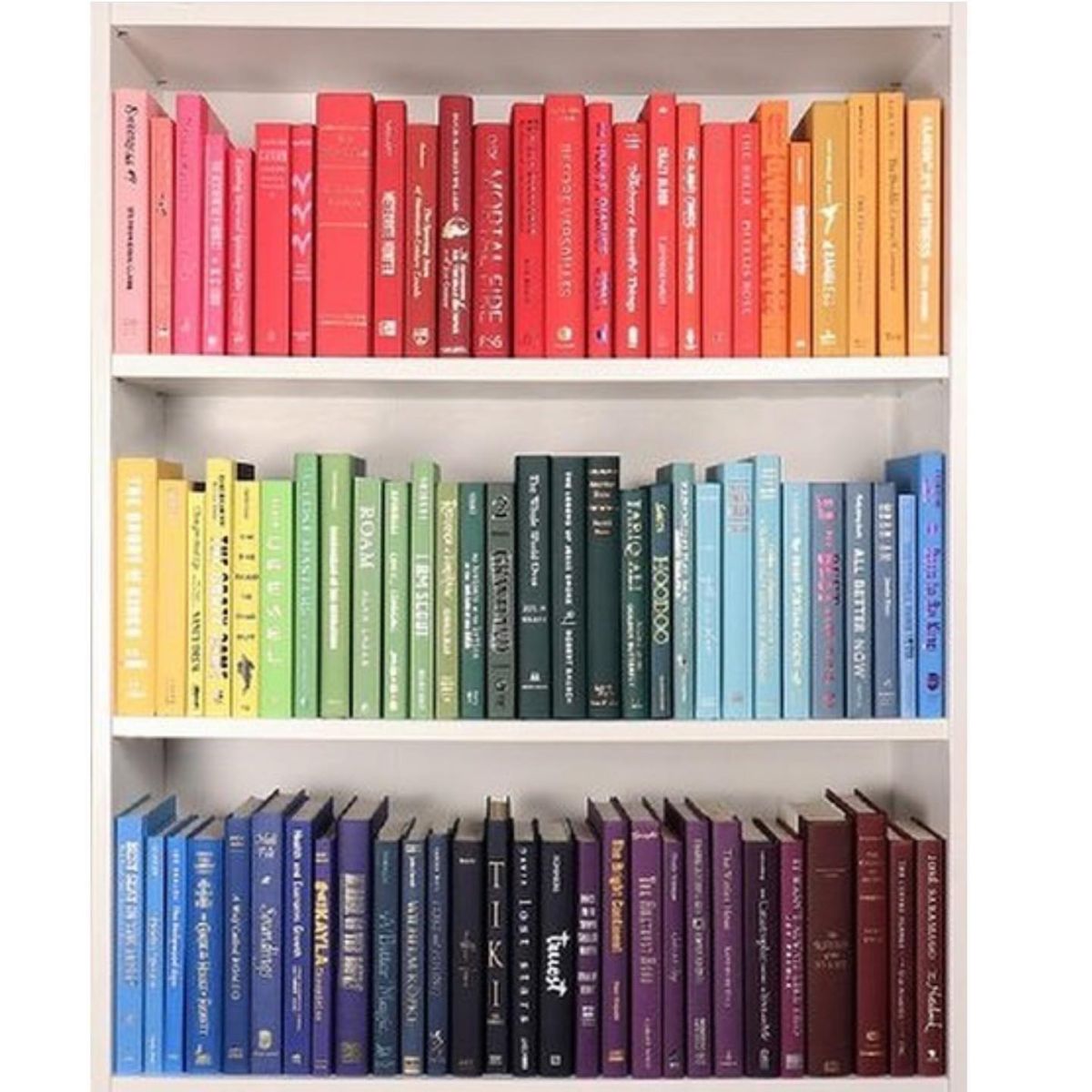Color Coded Bookshelves
