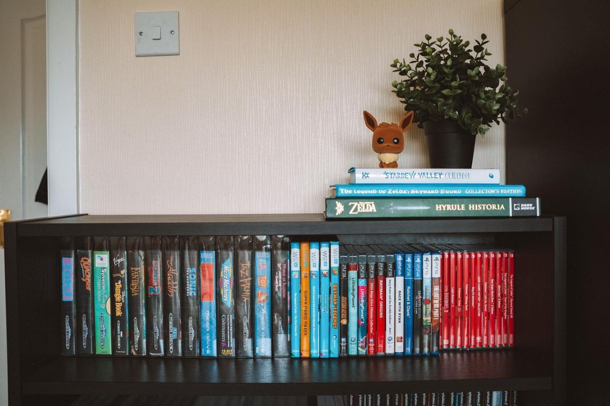17. Bookcase for Video Game Storage