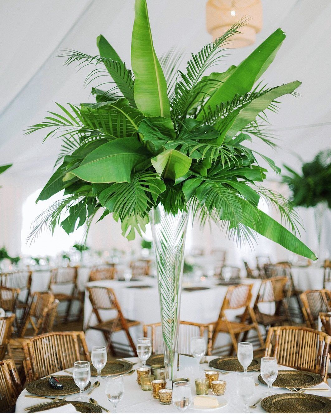 23. Tropical Island Vibe