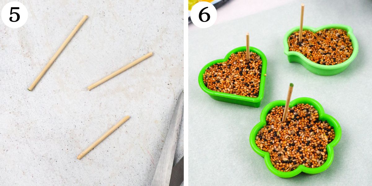 Simple Bird Feeders