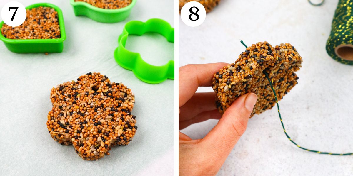 Brilliant Bird Feeders