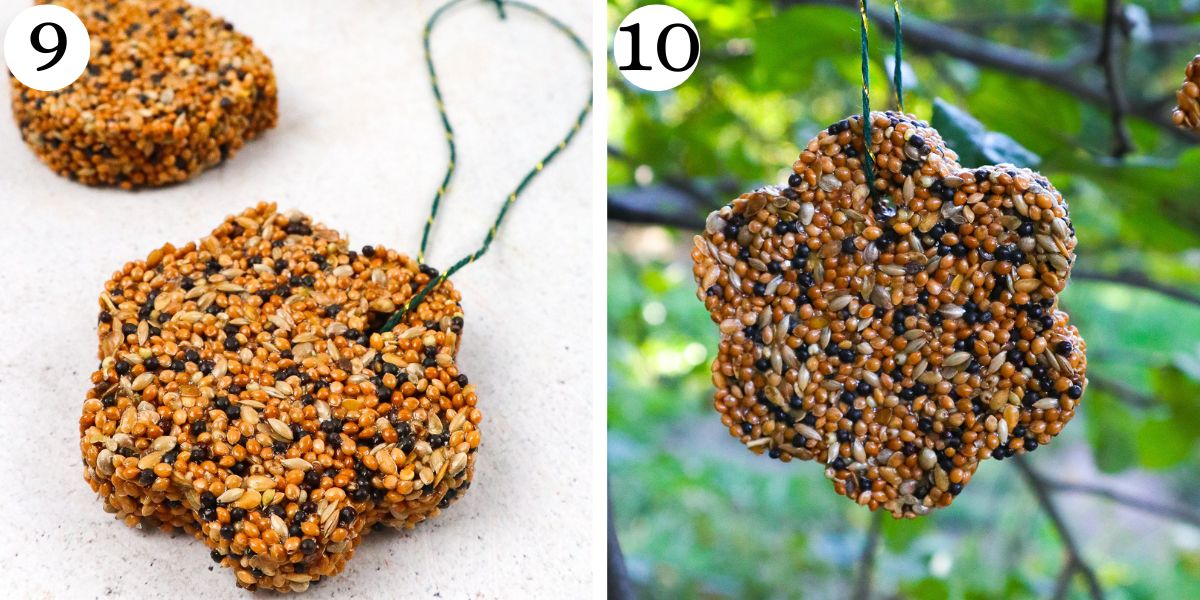 Smart Bird Feeders