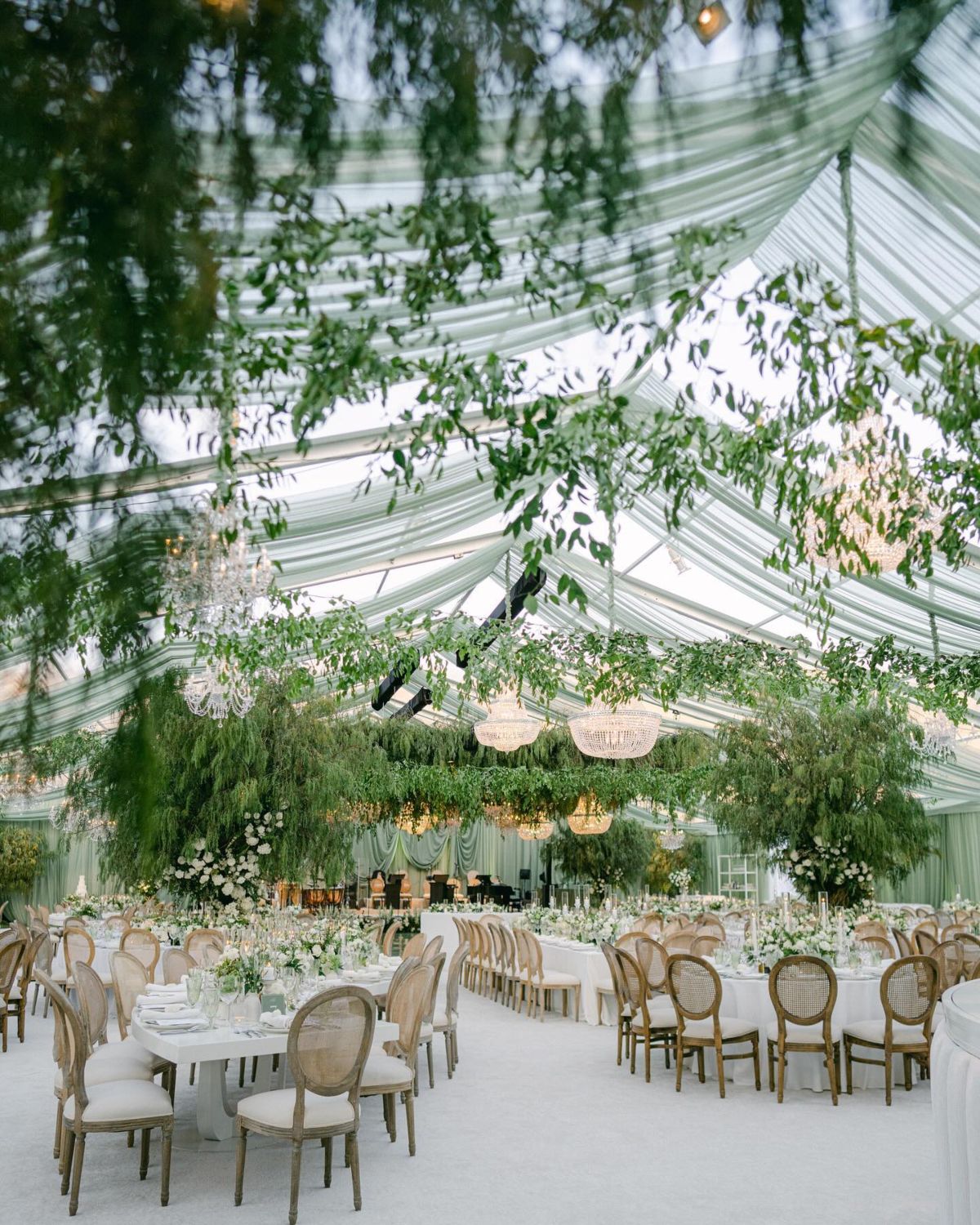 7. Enchanted Forest