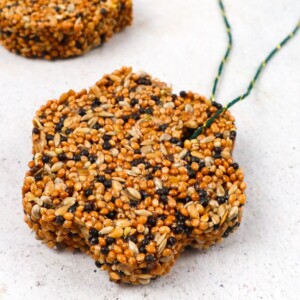 diy hanging bird feeders
