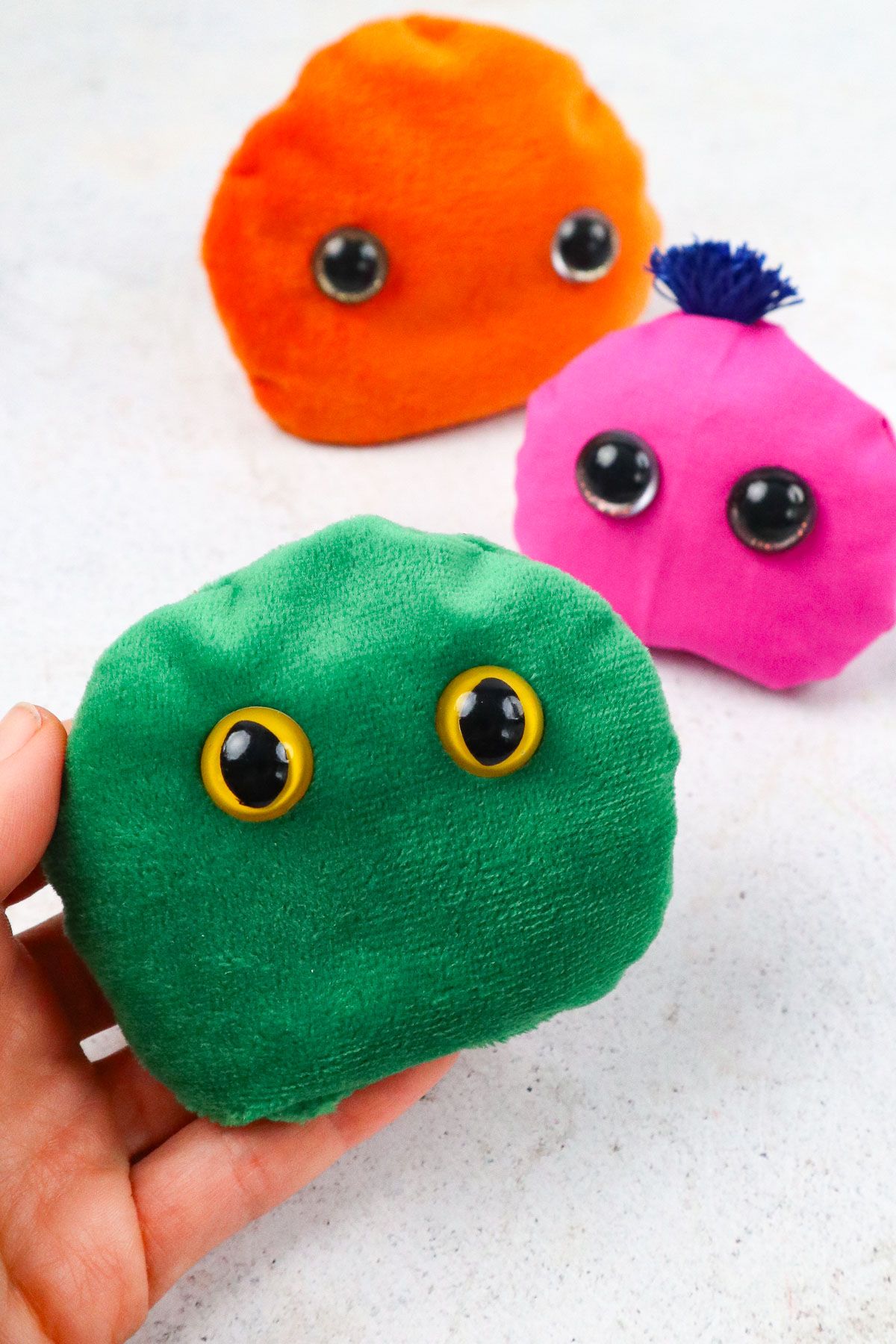 11 Quick Worry Pet