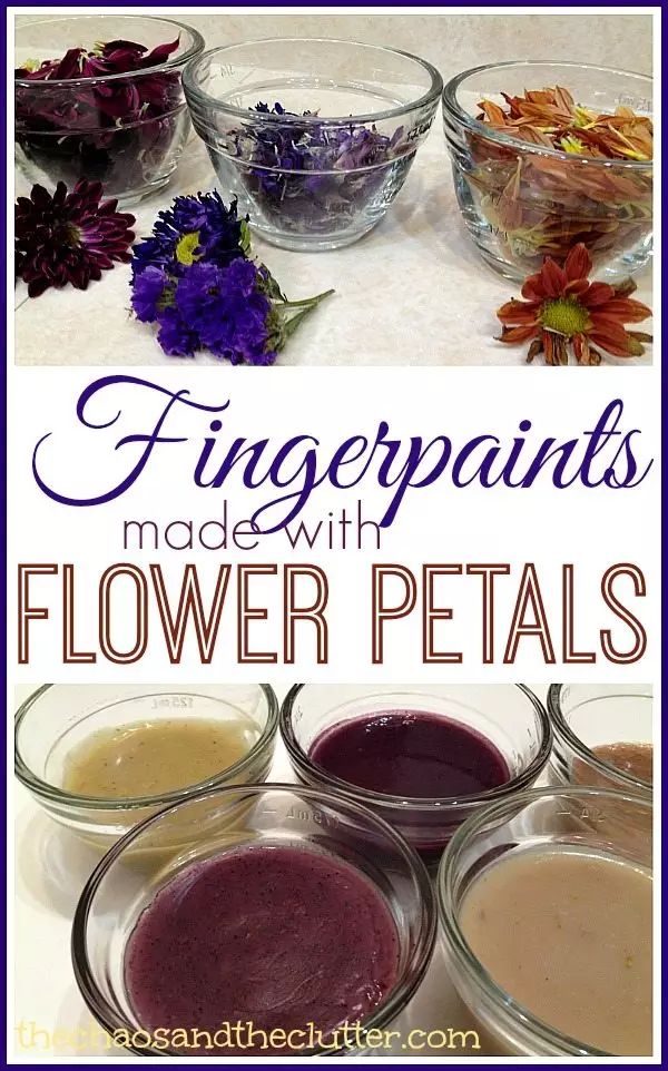 13. Flower Petal Fingerpaint